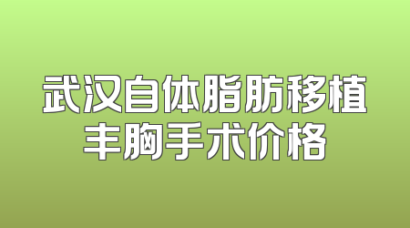 武汉自体脂肪移植丰胸手术价格