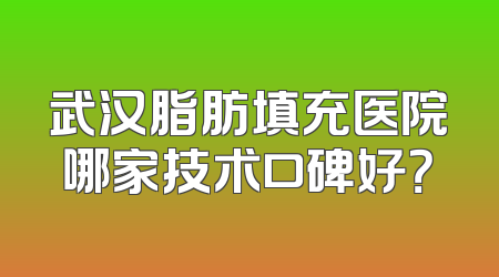 武汉脂肪填充医院哪家技术口碑好？