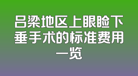 吕梁地区上眼睑下垂手术的标准费用一览