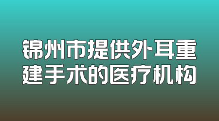 锦州市提供外耳重建手术的医疗机构