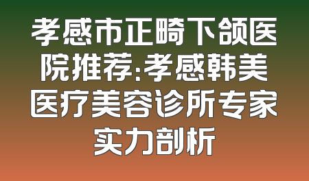 孝感市正畸下颌医院推荐：孝感韩美医疗美容诊所专家实力剖析