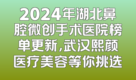 2024年湖北鼻腔微创手术医院榜单更新，武汉熙颜医疗美容等你挑选