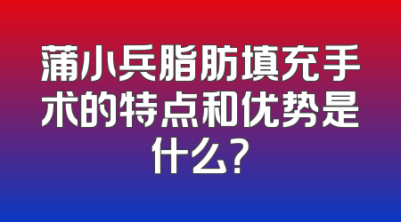 蒲小兵脂肪填充手术的特点和优势是什么？