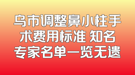 乌市调整鼻小柱手术费用标准 知名专家名单一览无遗