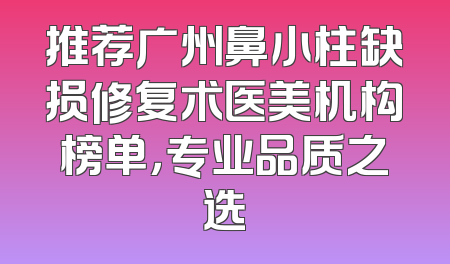 推荐广州鼻小柱缺损修复术医美机构榜单，专业品质之选