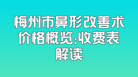 梅州市鼻形改善术价格概览：收费表解读