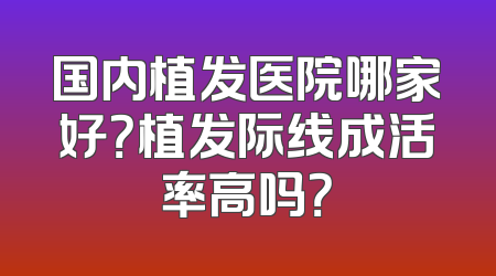 国内植发医院哪家好？植发际线成活率高吗？
