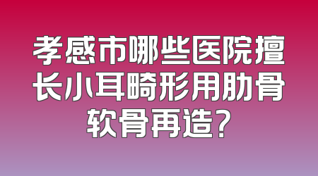 孝感市哪些医院擅长小耳畸形用肋骨软骨再造？