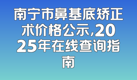 南宁市鼻基底矫正术价格公示，2025年在线查询指南