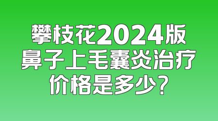 攀枝花2024版鼻子上毛囊炎治疗价格是多少？