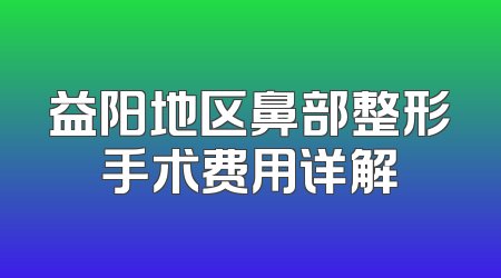 益阳地区鼻部整形手术费用详解