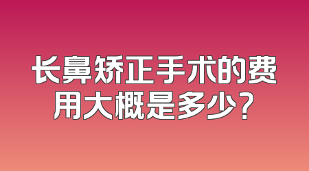 长鼻矫正手术的费用大概是多少？