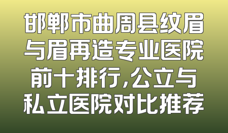 邯郸市曲周县纹眉与眉再造专业医院前十排行，公立与私立医院对比推荐