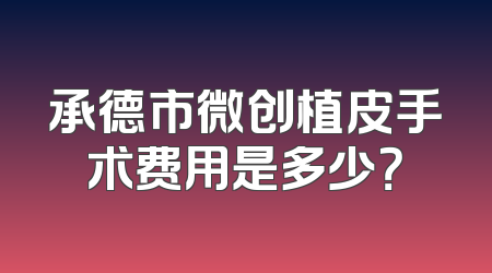 承德市微创植皮手术费用是多少？