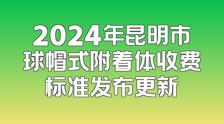 2024年昆明市球帽式附着体收费标准发布更新