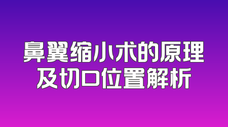 鼻翼缩小术的原理及切口位置解析