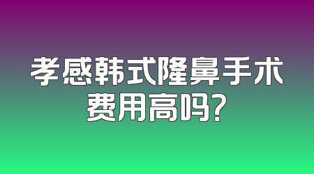 孝感韩式隆鼻手术费用高吗？