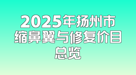 2025年扬州市缩鼻翼与修复价目总览