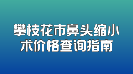 攀枝花市鼻头缩小术价格查询指南