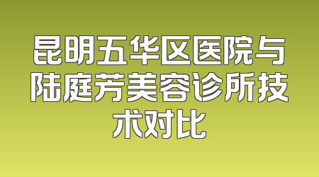 昆明五华区医院与陆庭芳美容诊所技术对比