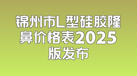 锦州市L型硅胶隆鼻价格表2025版发布