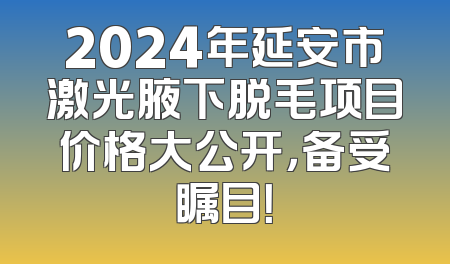 2024年延安市激光腋下脱毛项目价格大公开，备受瞩目！
