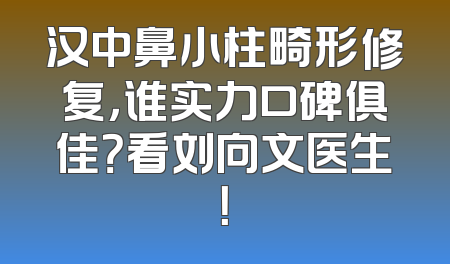 汉中鼻小柱畸形修复，谁实力口碑俱佳？看刘向文医生！