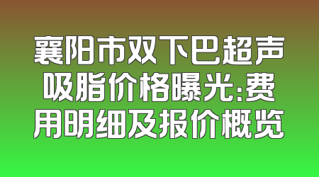 襄阳市双下巴超声吸脂价格曝光：费用明细及报价概览