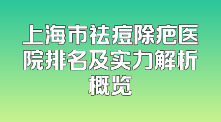 上海市祛痘除疤医院排名及实力解析概览