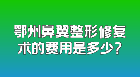 鄂州鼻翼整形修复术的费用是多少？