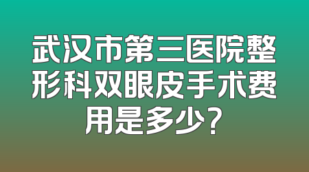 武汉市第三医院整形科双眼皮手术费用是多少？