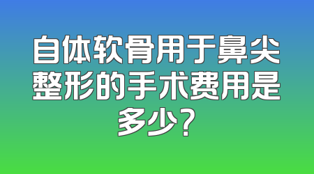 自体软骨用于鼻尖整形的手术费用是多少？