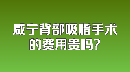 咸宁背部吸脂手术的费用贵吗？