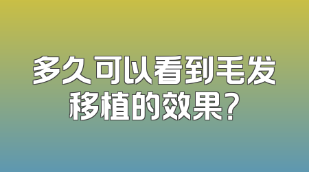 多久可以看到毛发移植的效果？