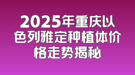2025年重庆以色列雅定种植体价格走势揭秘