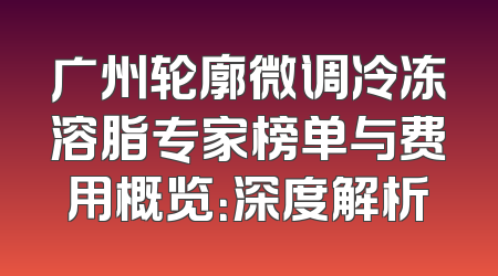 广州轮廓微调冷冻溶脂专家榜单与费用概览：深度解析