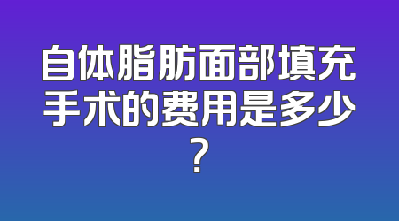 自体脂肪面部填充手术的费用是多少？