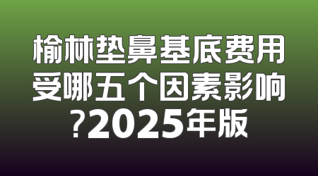 榆林垫鼻基底费用受哪五个因素影响？2025年版