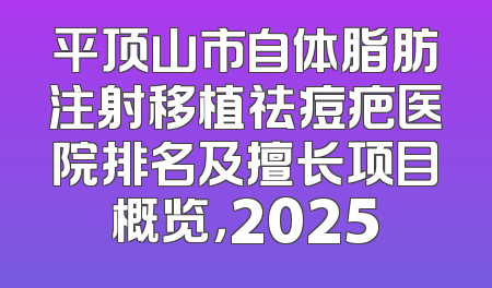 平顶山市自体脂肪注射移植祛痘疤医院排名及擅长项目概览，2025