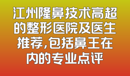 江州隆鼻技术高超的整形医院及医生推荐，包括鼻王在内的专业点评