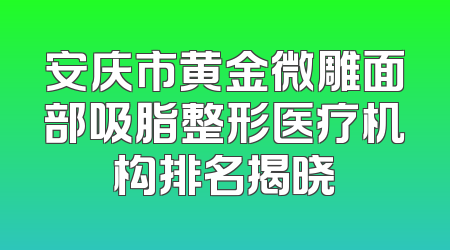 安庆市黄金微雕面部吸脂整形医疗机构排名揭晓
