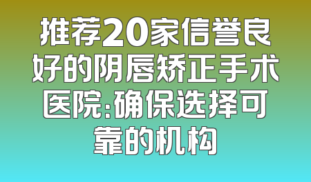 推荐20家信誉良好的阴唇矫正手术医院：确保选择可靠的机构