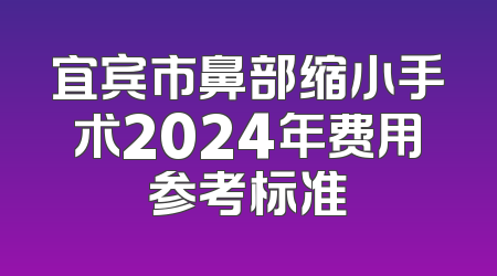 宜宾市鼻部缩小手术2024年费用参考标准