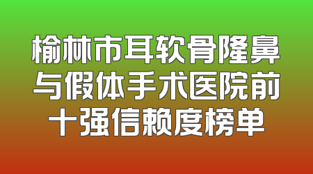 榆林市耳软骨隆鼻与假体手术医院前十强信赖度榜单