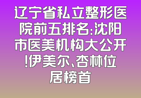 辽宁省私立整形医院前五排名：沈阳市医美机构大公开！伊美尔、杏林位居榜首