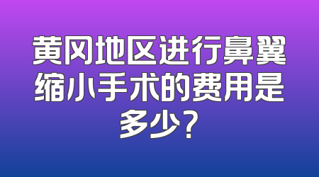 黄冈地区进行鼻翼缩小手术的费用是多少？