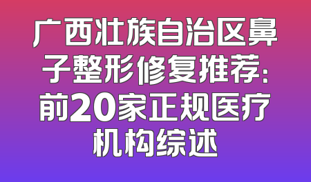 广西壮族自治区鼻子整形修复推荐：前20家正规医疗机构综述