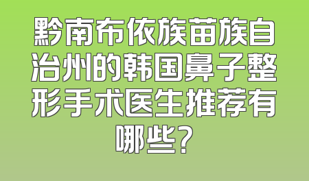 黔南布依族苗族自治州的韩国鼻子整形手术医生推荐有哪些？
