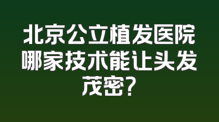 北京公立植发医院哪家技术能让头发茂密？