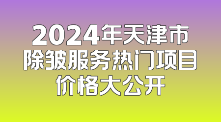 2024年天津市除皱服务热门项目价格大公开